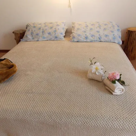 Bed and Breakfast Antica Dimora Del Portico à Borgiallo Extérieur photo